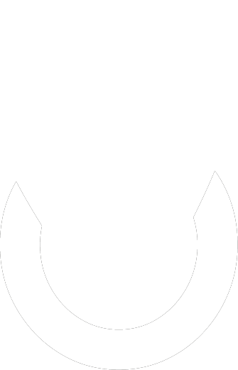 regiolize